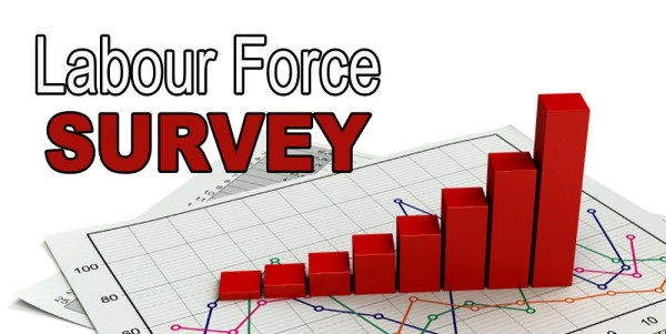 Labour Force Survey Underway In Tci Magnetic Media