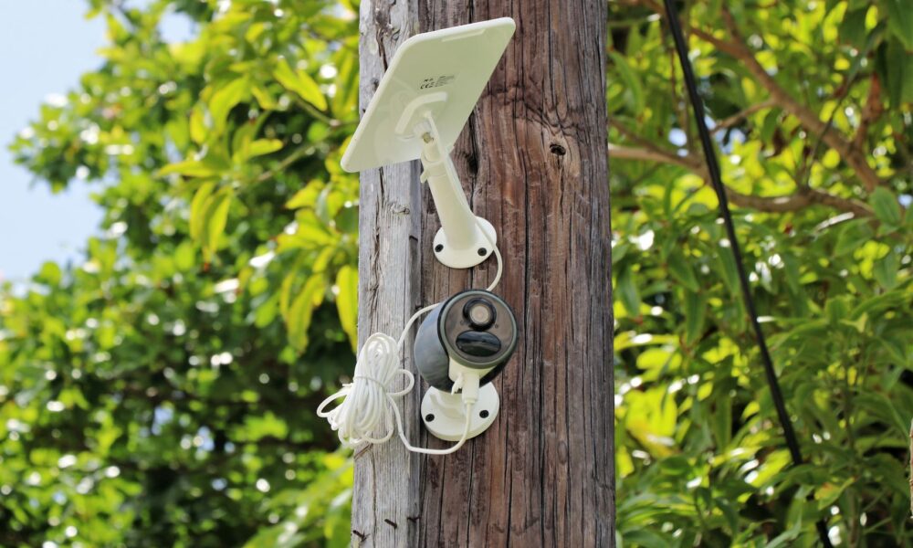 BAHAMAS Security Cameras Launch Stapledon Gardens Media