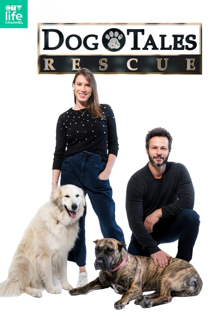 Dog Tales to rescue 500 dogs from the Turks and Caicos Media