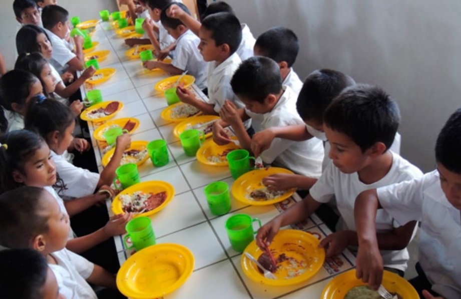 Technical mission takes LAC countries to Brazil to know the public school feeding policy - Vimarsana News