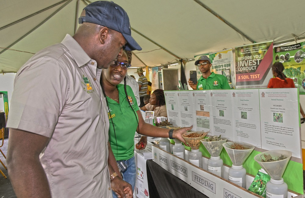 JAMAICA: JAS Stages Successful 'Eat Jamaican Day' Expo – Magnetic Media - Vimarsana News