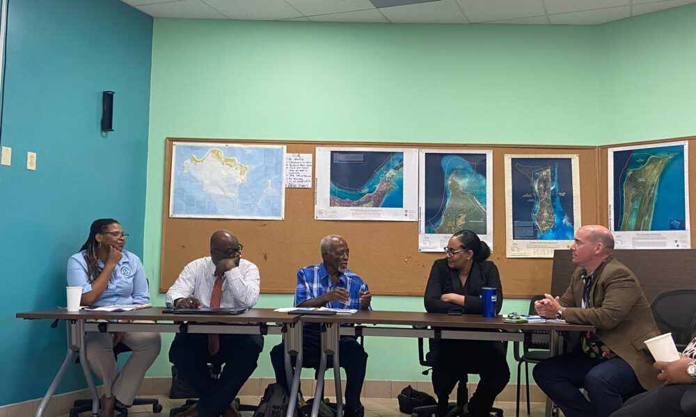 Turks ve Caicos Adaları’nın Covid-19 İyileşmesi – Manyetik Medya Yoluyla Sosyal, Ekonomik ve Çevresel Direnç Oluşturma