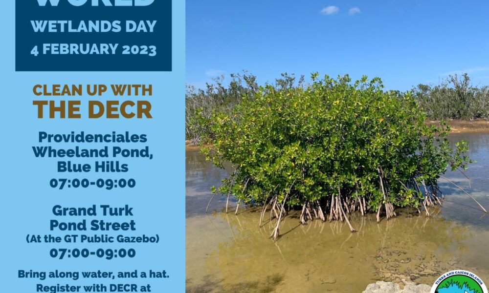Turks & Caicos Dünya Sulak Alanlar Günü’ne Katılmaya Hazırlanıyor – Magnet Media