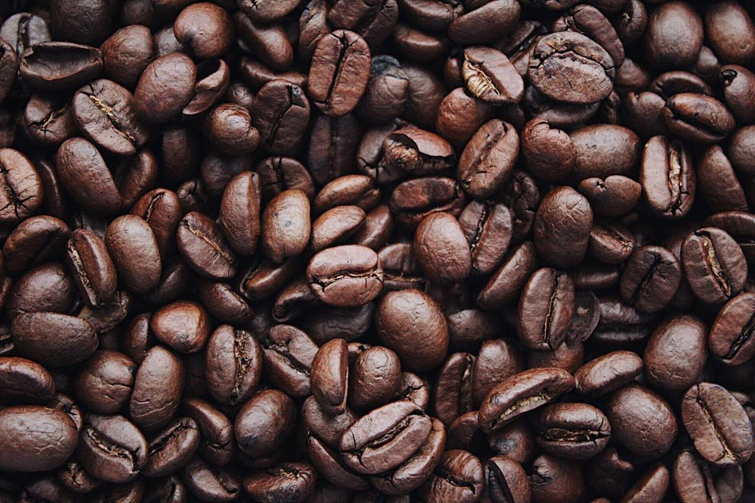 JAMAICA: Persons Encouraged to Purchase Coffee Festival Tickets Early - Vimarsana News