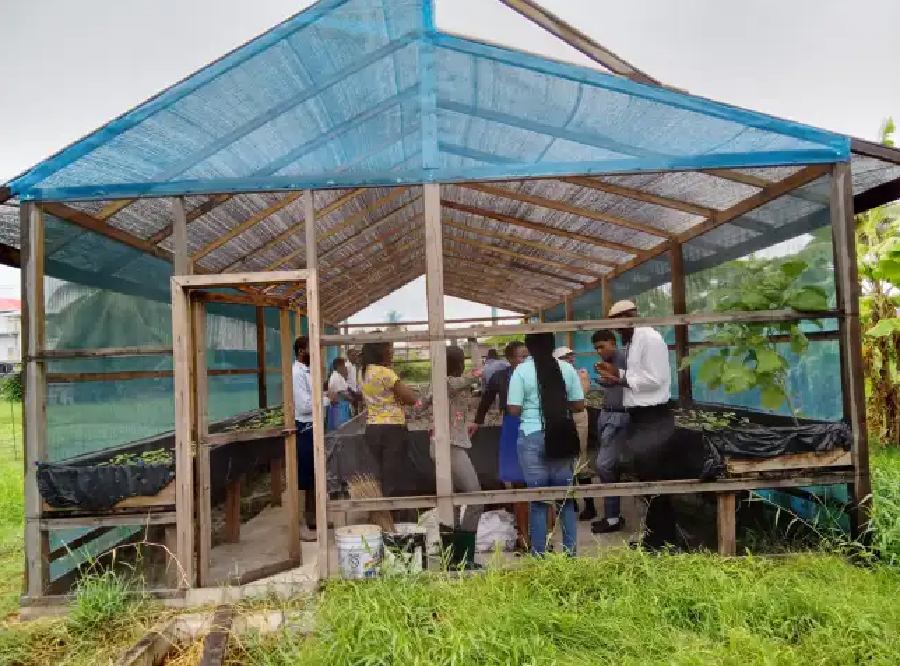 Over $ 20M expended since 2022 to promote agriculture in schools - Vimarsana News