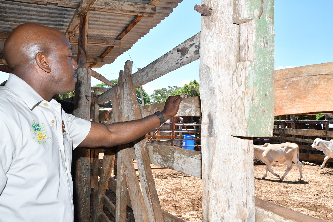 JAMAICA: Agricultural Scientists Encouraged to Build on Legacy of Dr. Lecky - Vimarsana News