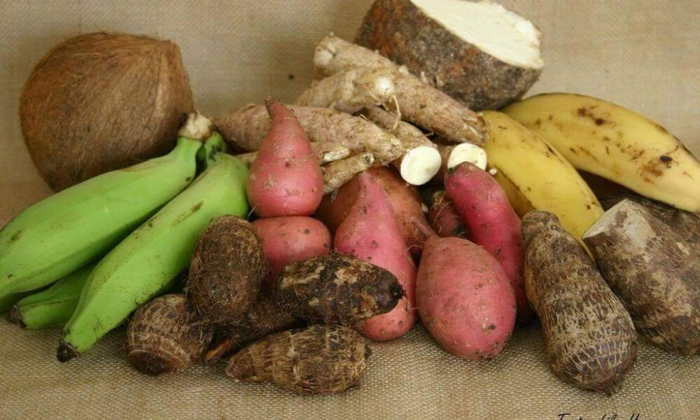 Jamaica Domestic Crop Production Decline Media