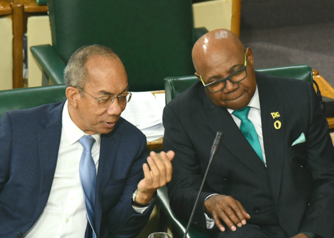 JAMAICA: House Approves Further 60-Day Extension of Seven ZOSOs - Vimarsana News