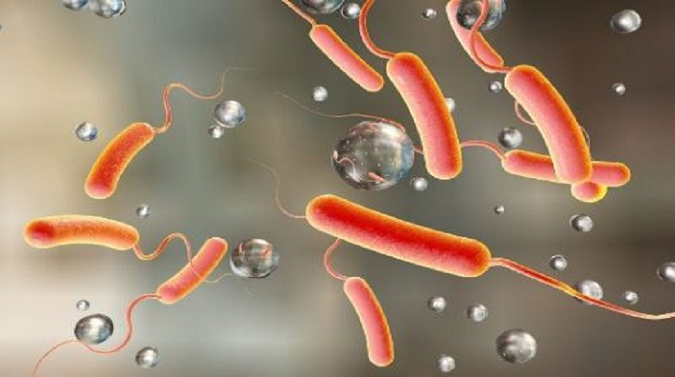 Cholera cases trending at highest rate in a decade says WHO - Vimarsana News