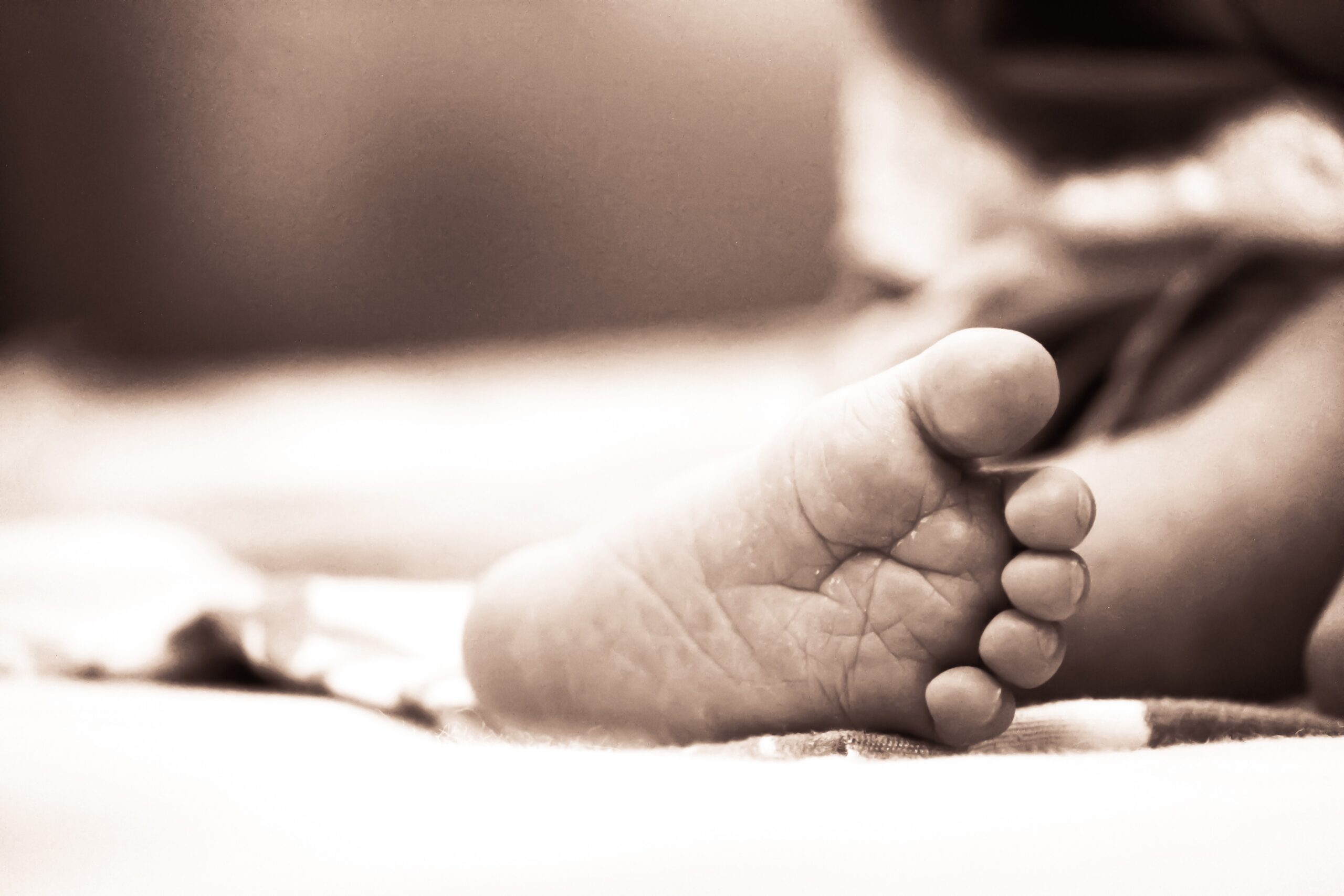 Dead Babies found outside cemetery in Dom Rep - Vimarsana News