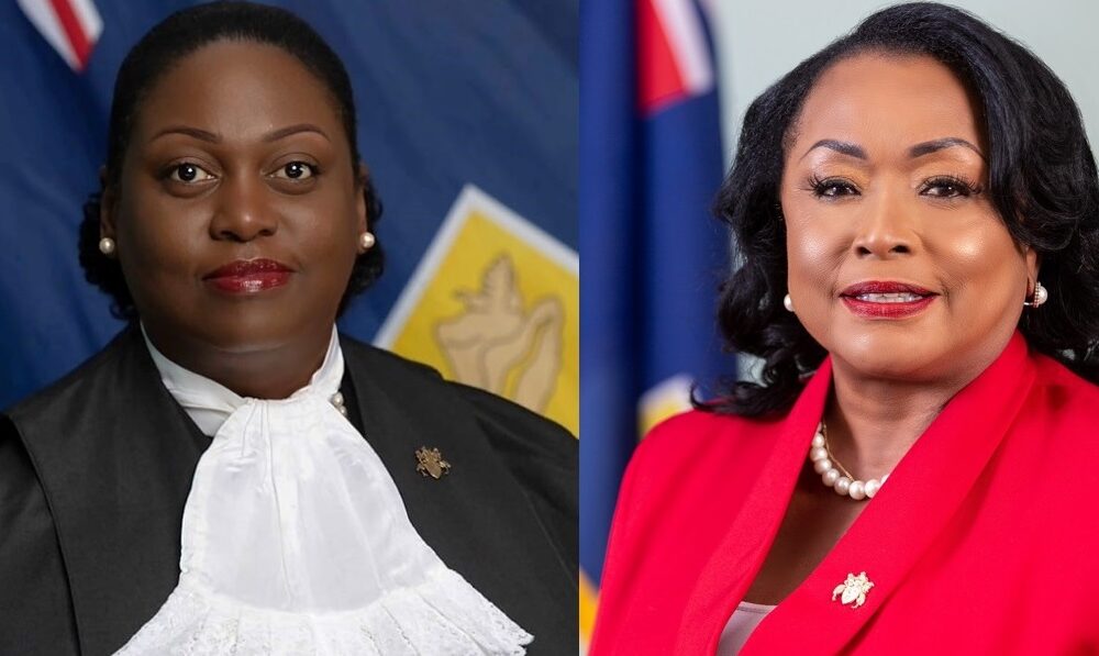 Judge Mathopo Landmark Court Decision on Opposition Leader (DMMO) Judicial Review ...