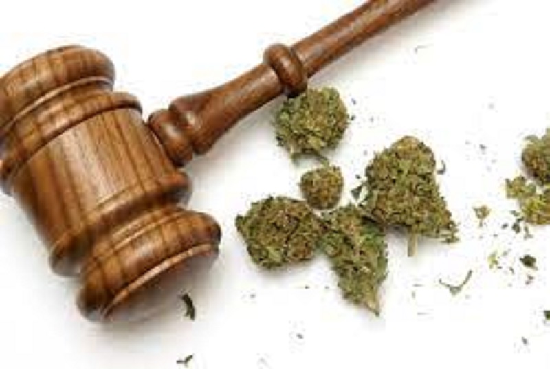 TCI Drug Trials to Proceed without Forensic Analysis says DPP Office - Vimarsana News