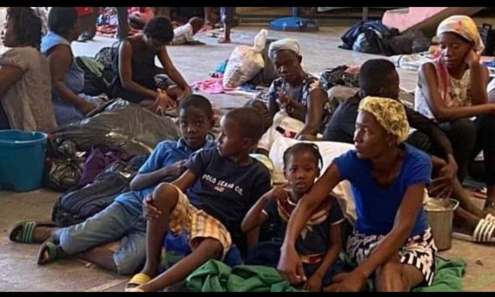 Irish Humanitarian Organization in Haiti Address Hunger Crisis and More Media