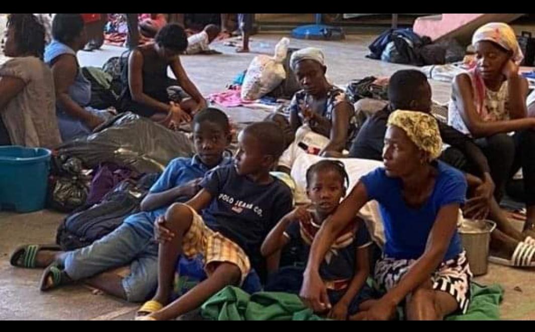 Irish Humanitarian Organization in Haiti – Address Hunger Crisis and More - Vimarsana News