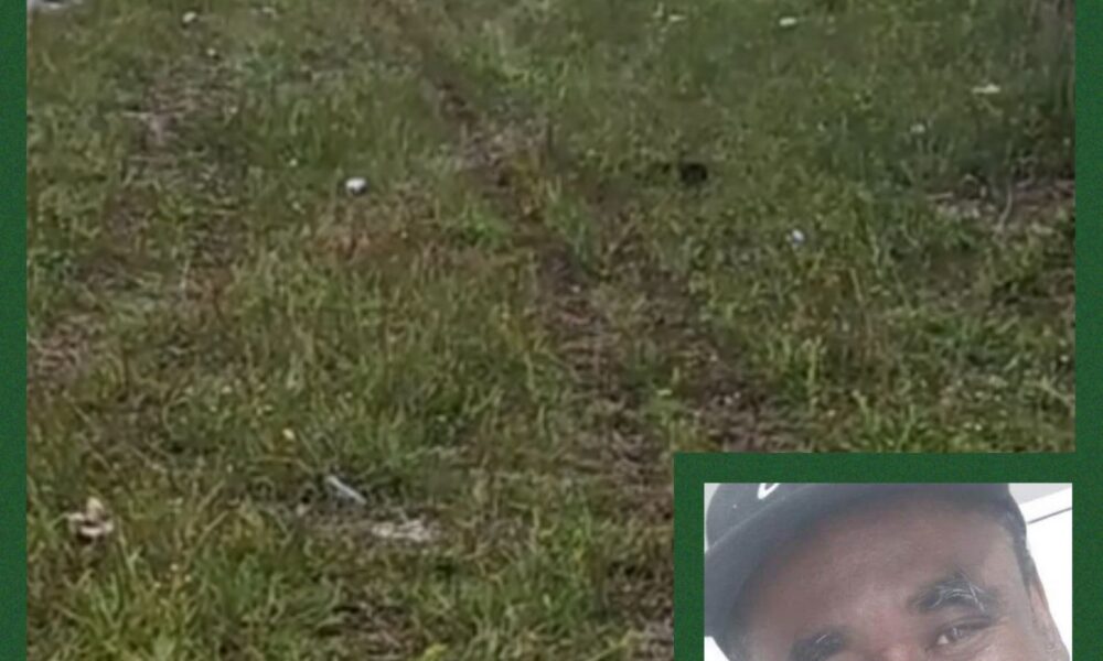 Pelican Energy TCI Launches After Vision Ridge Partners Acquires ...