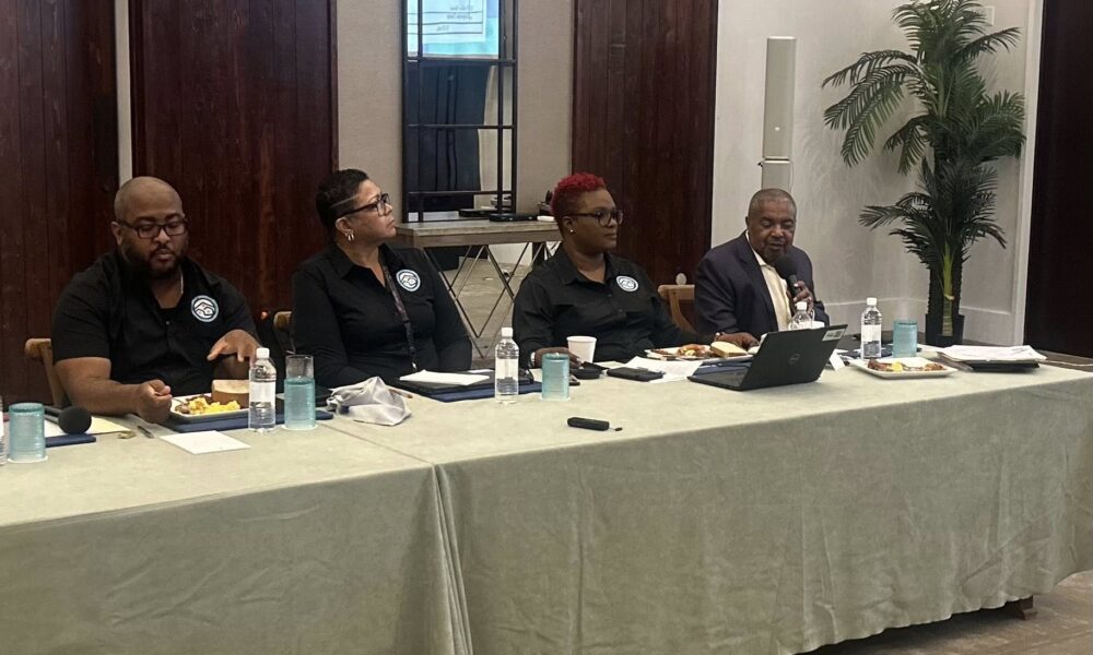 Pelican Energy TCI Launches After Vision Ridge Partners Acquires ...